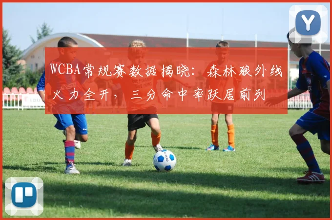 WCBA常规赛数据揭晓：森林狼外线火力全开，三分命中率跃居前列 - 球探体育推荐