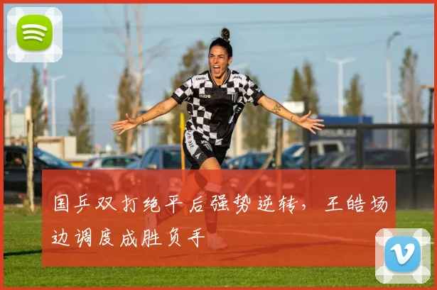 国乒双打绝平后强势逆转，王皓场边调度成胜负手 - 球探体育推荐